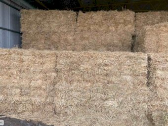 Horse Quality Small Square Oaten Hay "Neg on larger lots"