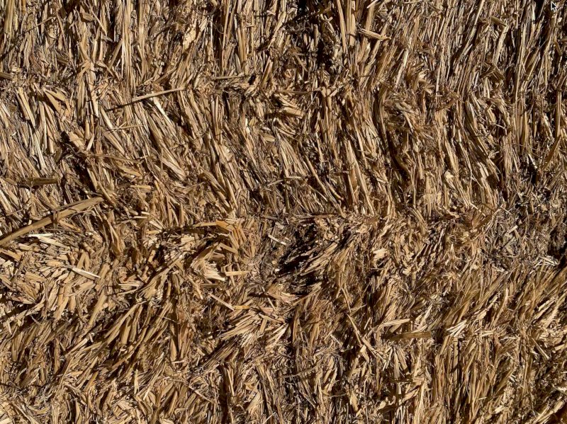 Wheaten Straw and Barley Straw For Sale