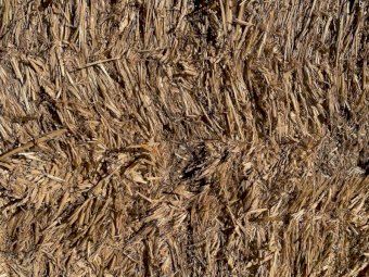 Wheaten Straw and Barley Straw For Sale