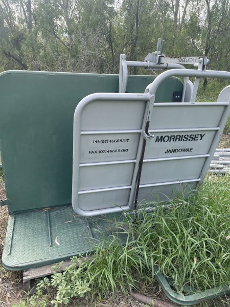Cattle Yards with Morrissey Branding Cradle Loading Ramp and Head Bale