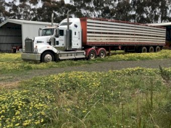 1991 Carlins 45ft 2x1 Stock Crate on 1972 Freighter Trailer
