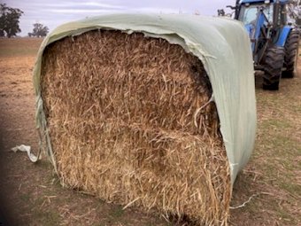 20mt Oaten Silage With A Trace Of Vetch (Lot 1)