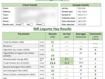 200mt Vetch Hay 600kg+ 8x4x3 Bales