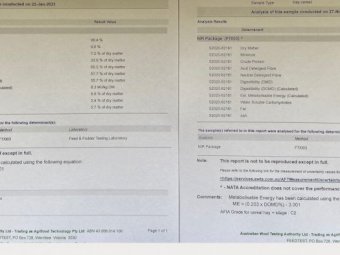 Oaten/Vetch Round Rolls
