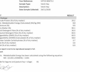 Vetch Hay   2500 Bales Shedded