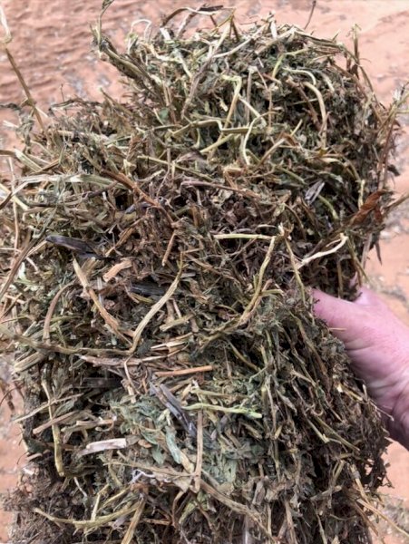 500mt Vetch Hay 680kg 8x4x3 Bales + Freight