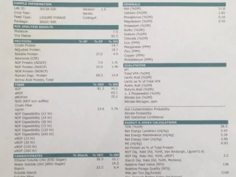 500mt Vetch Hay 680kg 8x4x3 Bales + Freight