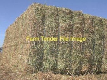 400 mt Vetch Hay 8x4x3 Bales