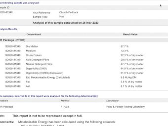 400 mt Vetch Hay 8x4x3 Bales