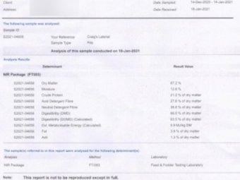 120mt Lucerne Hay 600kg 8x4x3 Bales