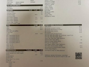 200mt Oaten Hay 540kg 8x4x3 Bales