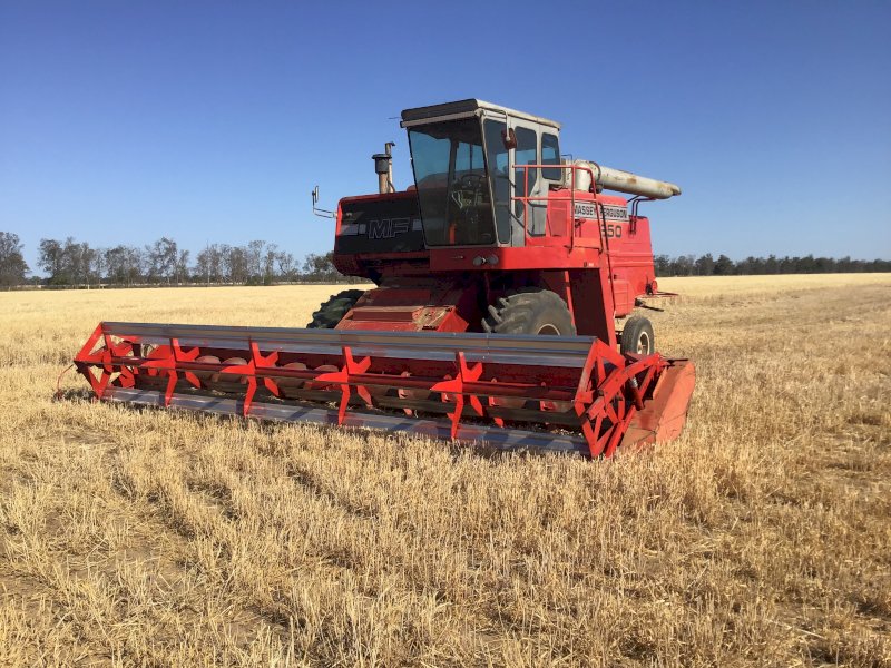 1982 Massey Ferguson 850 Header 24' Front