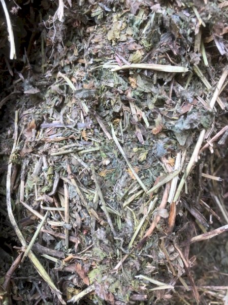 200mt Vetch Hay 600-620kg 8x4x3 Bales (New Season)