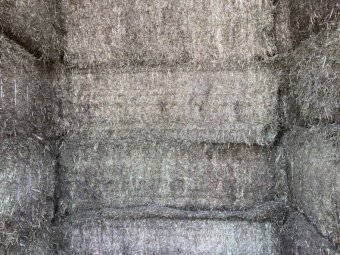 200mt Vetch Hay 600-620kg 8x4x3 Bales (New Season)