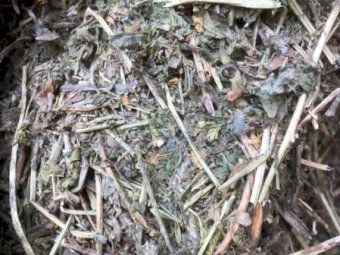 200mt Vetch Hay 600-620kg 8x4x3 Bales (New Season)