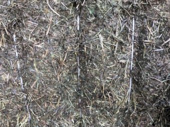 200mt Vetch Hay 600-620kg 8x4x3 Bales (New Season)