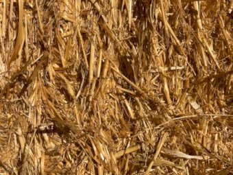 Wheaten Straw 500kg 8x4x3 Bales