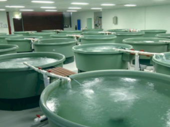 Polymaster 2,000 Ltr Fertigation Tank Plus Base & Venturi Fitout