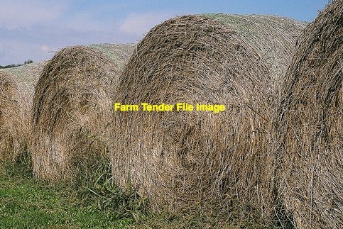 WANTED Hay 5x4 Round Bales