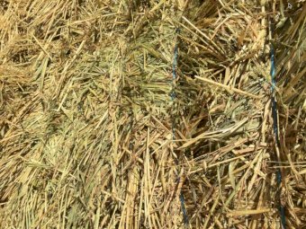 Oaten Hay 530-550kg 8x4x3 Bales