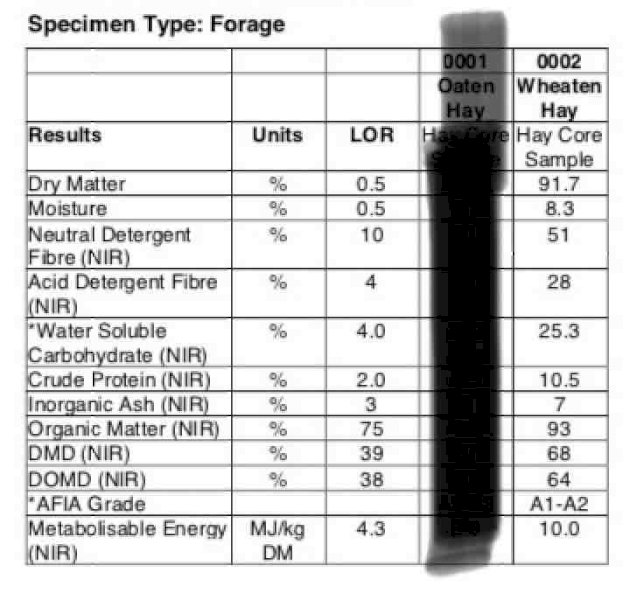 2019 Season Wheaten Hay