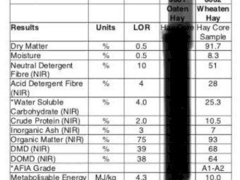 2019 Season Wheaten Hay