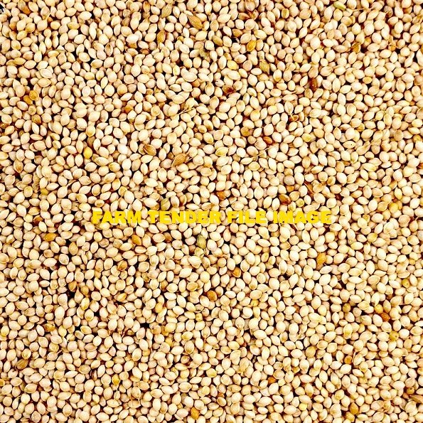 WANTED White French Millet Seed