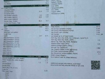 Vetch Hay 8x4x3 Bales