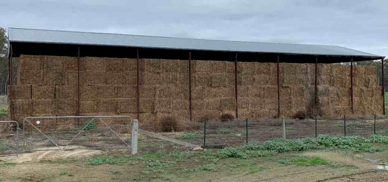 Balansa Clover and Ryegrass Hay