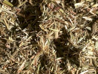500mt Oaten Hay 500-550kg 8x4x3 Bales
