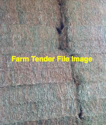 150mt Vetch Hay 550-600kg 8x4x3 Bales