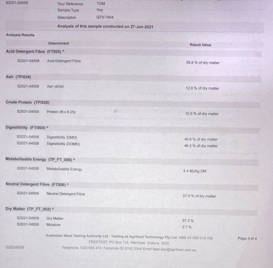 200mt Vetch Hay 650kg 8x4x3 Bales