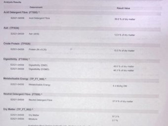 200mt Vetch Hay 650kg 8x4x3 Bales