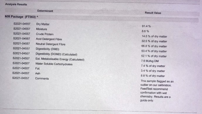 200mt Vetch Hay 650kg 8x4x3 Bales