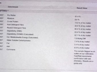 200mt Vetch Hay 650kg 8x4x3 Bales