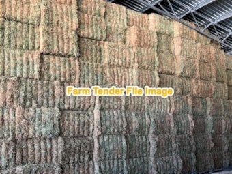 Lucerne Hay 8x4x3 Bales