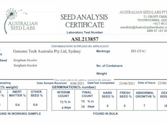 SE-1 Sweet Forage Sorghum