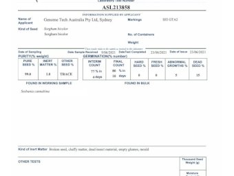 SE-1 Sweet Forage Sorghum