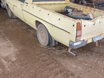 1981 WB Holden Ute