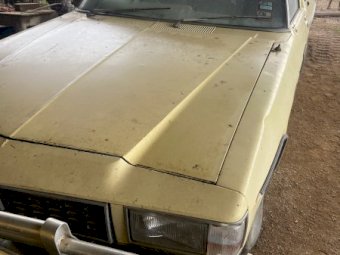 1981 WB Holden Ute
