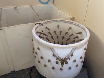 Mobile Chicken Caravan abattoirs