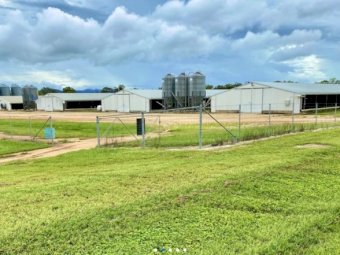 Broiler Farm For Sale