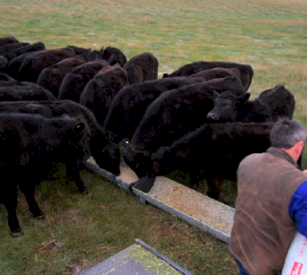 RPM Feed Troughs - Made from 100% Recycled Plastic.