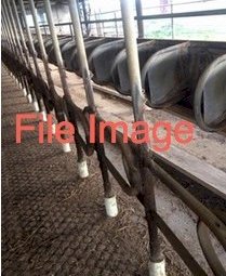 WANTED Dairy Plant Equipment for 7 aside swing over