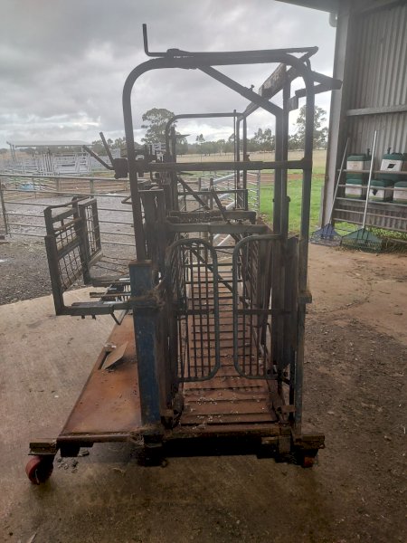 Under Auction - (A156)  Draffen Sheep Handler 