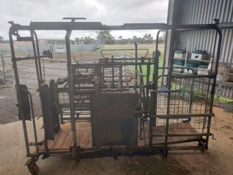 Under Auction - (A156)  Draffen Sheep Handler 