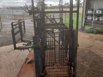 Under Auction - (A156)  Draffen Sheep Handler 