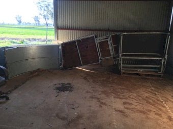 Under Auction - (A155)  Combi Clamp Plant 