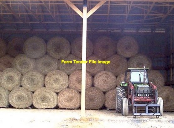 250 x Oaten Hay 5x4 Bales (Shedded)