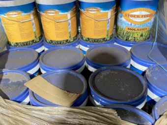 Molasses 1250Kg Shuttles